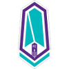 騎兵隊(duì)